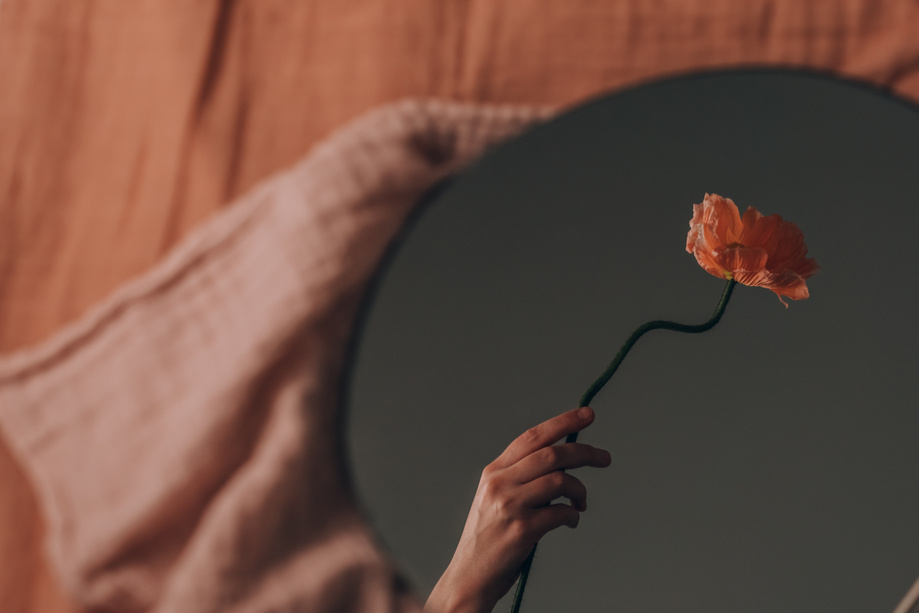 A Person Holding an Orange Flower